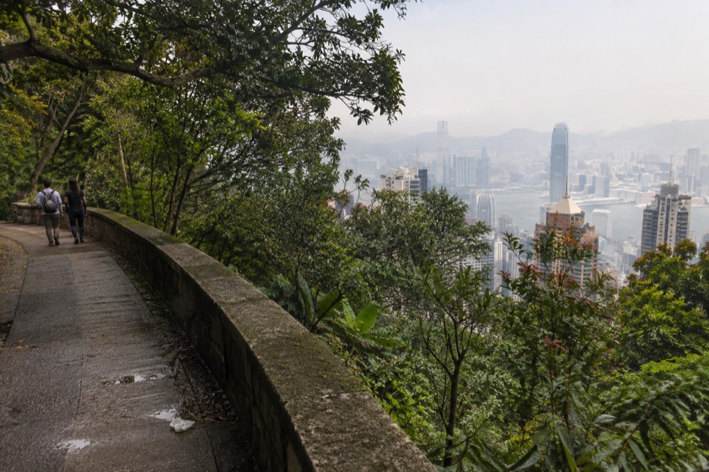 Lugard Road flat walking path along the hillside with harbour views through trees