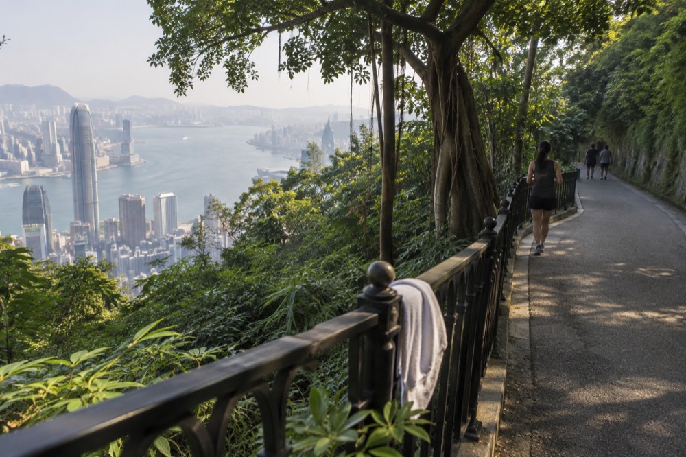 Leafy flat walking road along a hillside with the harbour visible between trees