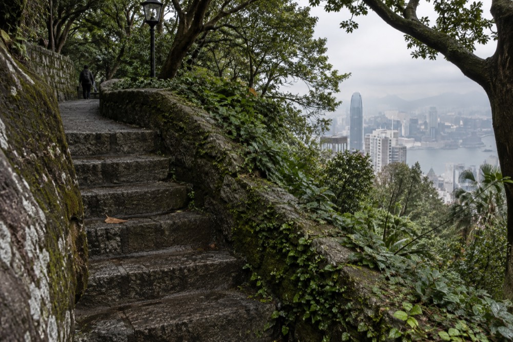 Old stone steps and a low wall among mature trees on a park hillside