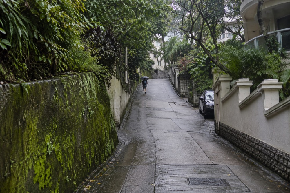 A steep narrow paved lane rising between dense tropical trees and low garden walls